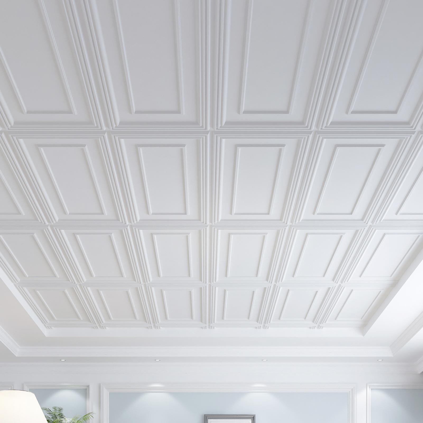 Modern Ceiling Tiles