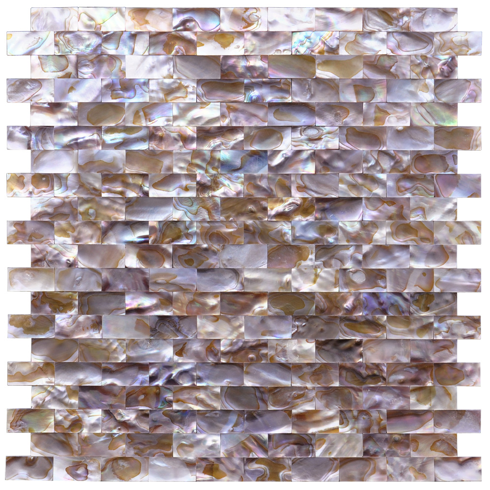 Natural Mother of Pearl Oyster Shell Mosaic Tile, 12